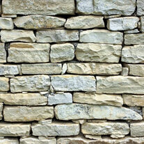 wall